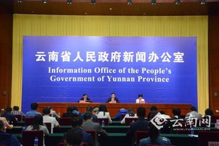 云南服務(wù)經(jīng)濟(jì)倍增計劃 科技中介服務(wù)成為未來主攻方向